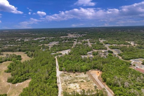 Terreno en venta en Ocala, Florida № 2138985 - foto 8