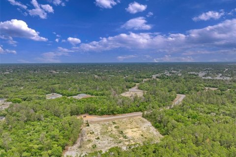Terreno en venta en Ocala, Florida № 2138985 - foto 2