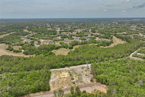 Terreno en venta en Ocala, Florida № 2138985 - foto 3