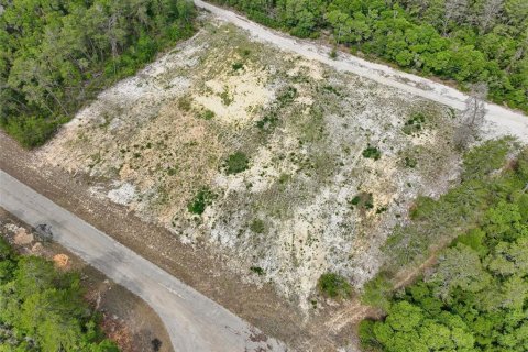Terreno en venta en Ocala, Florida № 2138985 - foto 12