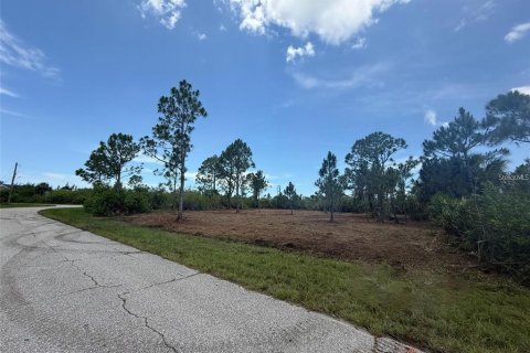 Land in Port Charlotte, Florida № 2161991