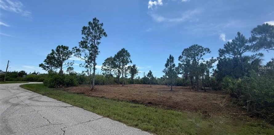 Land in Port Charlotte, Florida № 2161991