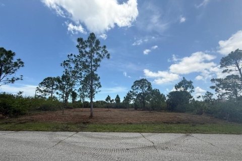 Land in Port Charlotte, Florida № 2161991 - photo 2