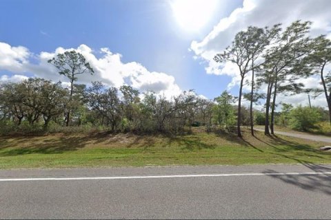 Land in Polk City, Florida № 2162221 - photo 2