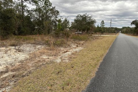 Land in Dunnellon, Florida № 2165405 - photo 4