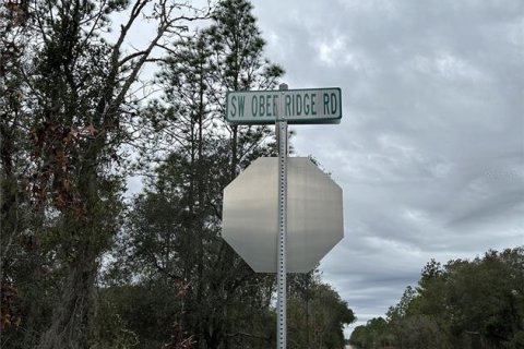 Land in Dunnellon, Florida № 2165405 - photo 9