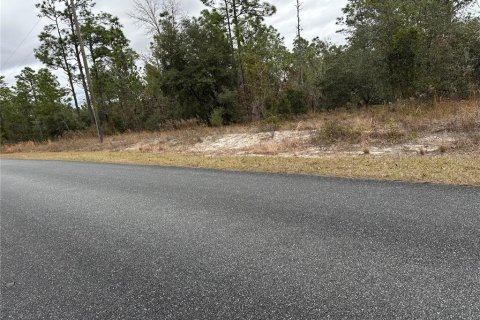Land in Dunnellon, Florida № 2165405 - photo 8