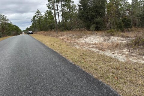 Land in Dunnellon, Florida № 2165405 - photo 7
