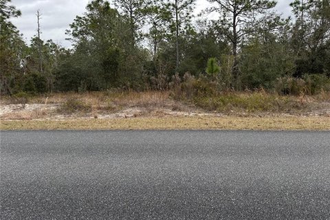 Land in Dunnellon, Florida № 2165405 - photo 3