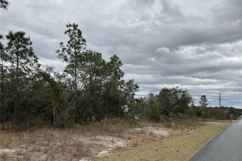 Land in Dunnellon, Florida № 2165405 - photo 6