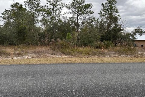Land in Dunnellon, Florida № 2165405 - photo 2