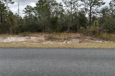 Land in Dunnellon, Florida № 2165405