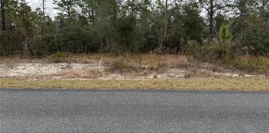 Land in Dunnellon, Florida № 2165405
