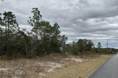 Land in Dunnellon, Florida № 2165405 - photo 5