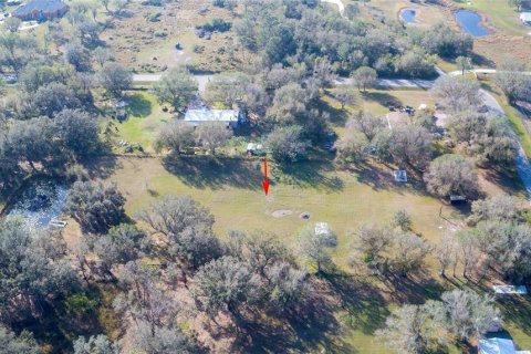 Land in Arcadia, Florida № 1717068 - photo 24