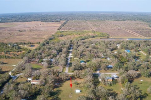 Land in Arcadia, Florida № 1717068 - photo 26