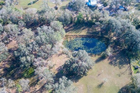 Land in Arcadia, Florida № 1717068 - photo 21