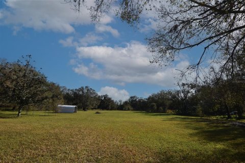 Land in Arcadia, Florida № 1717068 - photo 6