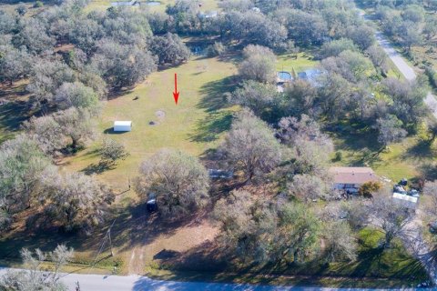 Land in Arcadia, Florida № 1717068 - photo 16