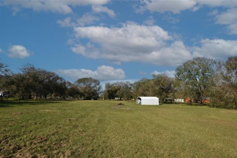 Land in Arcadia, Florida № 1717068 - photo 13