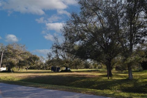 Land in Arcadia, Florida № 1717068 - photo 2