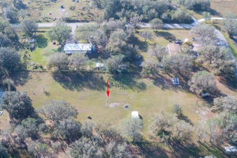 Land in Arcadia, Florida № 1717068 - photo 22