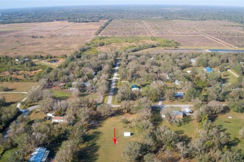 Land in Arcadia, Florida № 1717068 - photo 27