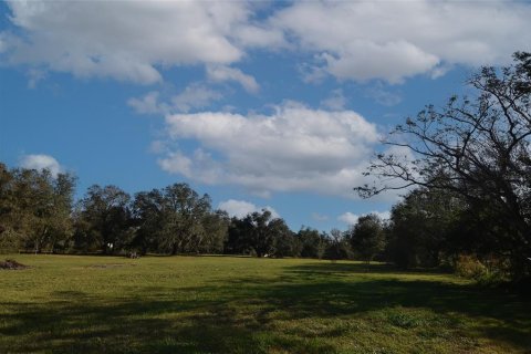 Land in Arcadia, Florida № 1717068 - photo 8
