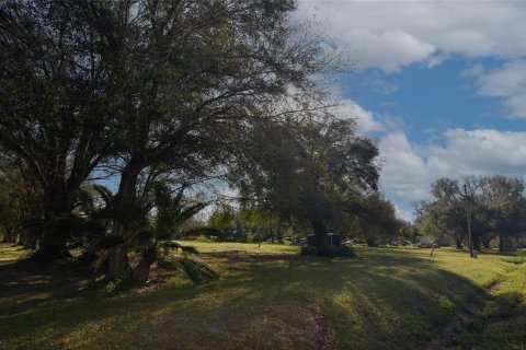 Land in Arcadia, Florida № 1717068 - photo 4
