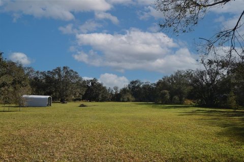 Land in Arcadia, Florida № 1717068 - photo 7