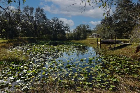 Land in Arcadia, Florida № 1717068 - photo 11