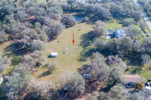 Land in Arcadia, Florida № 1717068 - photo 17