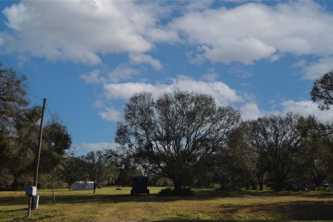 Land in Arcadia, Florida № 1717068 - photo 3