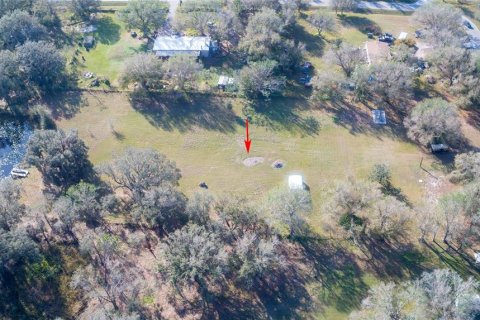 Land in Arcadia, Florida № 1717068 - photo 23