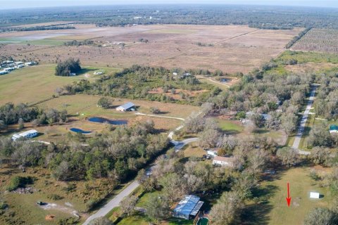 Land in Arcadia, Florida № 1717068 - photo 28