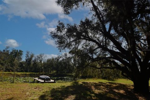 Land in Arcadia, Florida № 1717068 - photo 12