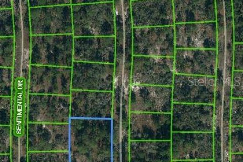 Land in Lake Placid, Florida № 2224269