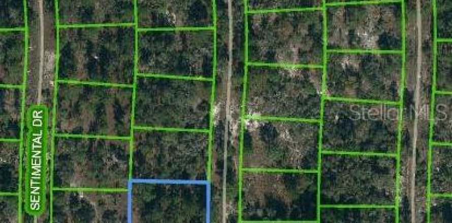 Land in Lake Placid, Florida № 2224269