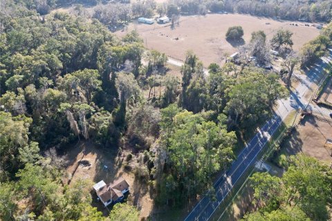 Land in Ocala, Florida № 2159630 - photo 6