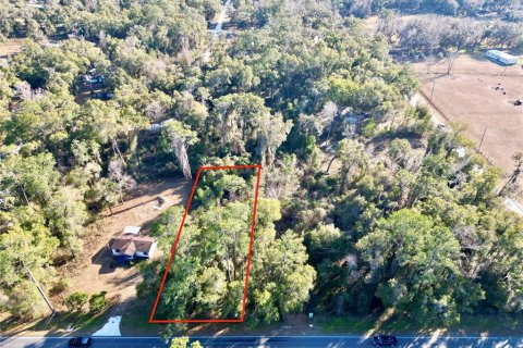 Land in Ocala, Florida № 2159630 - photo 12