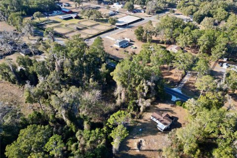 Land in Ocala, Florida № 2159630 - photo 8