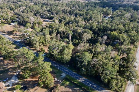 Land in Ocala, Florida № 2159630 - photo 10