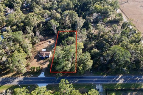Land in Ocala, Florida № 2159630 - photo 4