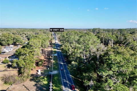 Land in Ocala, Florida № 2159630 - photo 5