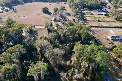 Land in Ocala, Florida № 2159630 - photo 9