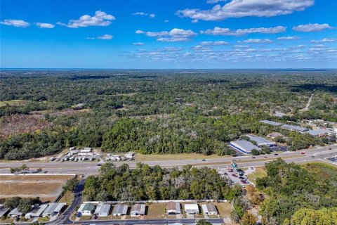 Commercial property in Hudson, Florida № 2130637 - photo 15
