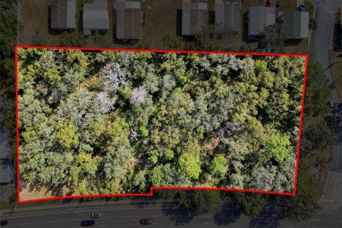 Immobilier commercial à Hudson, Floride № 2130637
