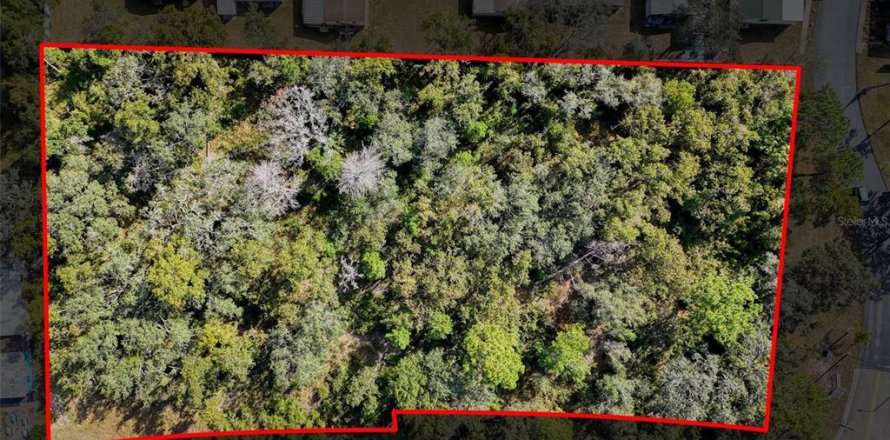 Commercial property in Hudson, Florida № 2130637