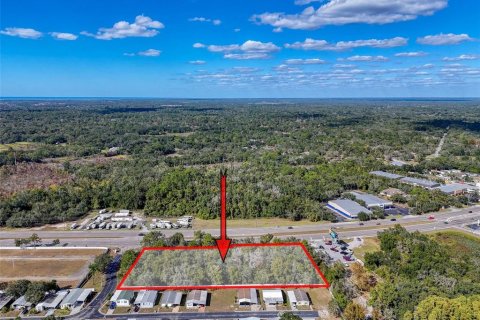Commercial property in Hudson, Florida № 2130637 - photo 14