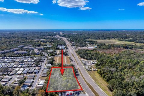 Commercial property in Hudson, Florida № 2130637 - photo 18
